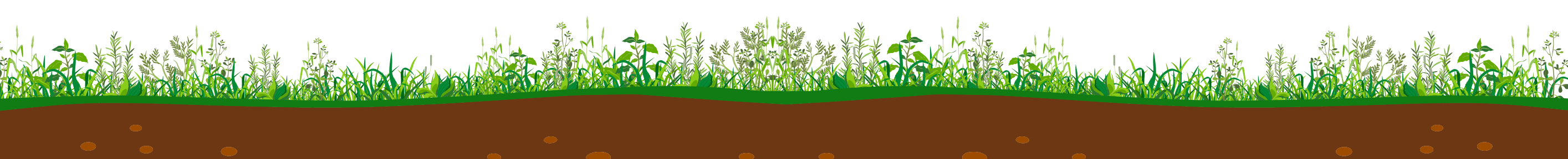 grass