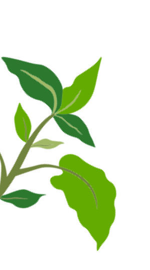 leaf