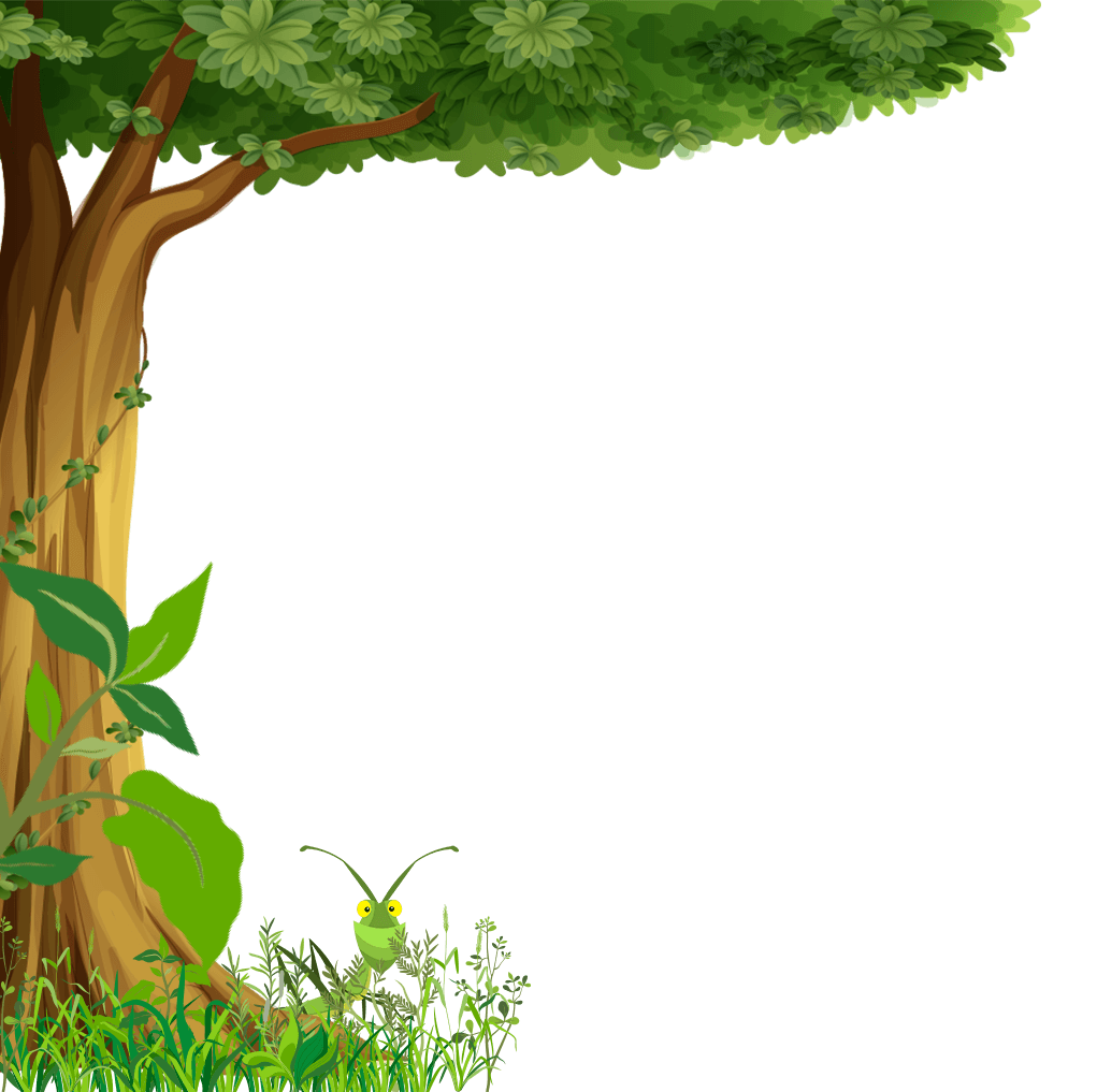 tree